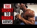 This is What it Takes to Build BIGGER Arms