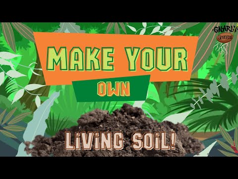 How to Make Your Own Organic Living Super Soil