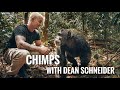 Meet the Chimps with Dean Schneider