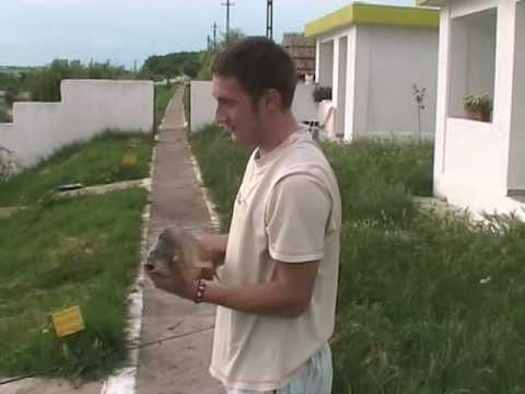 Captura la Paradisul Verde