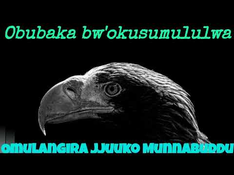 Obubaka bw'okusumululwa - Omulangira Jjuuko Munnabuddu
