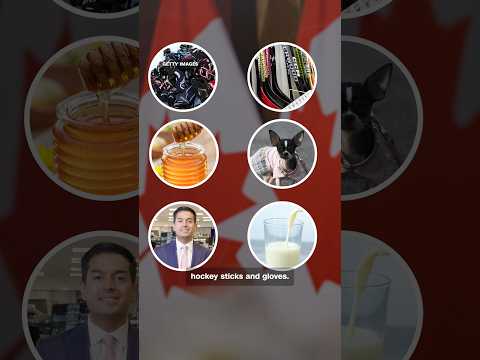 New US-Canada tariffs may make everyday items more expensive