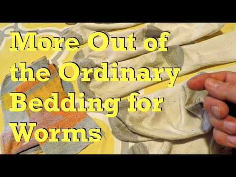 More unusual bedding for 48-day red wiggler worm bin - vermicompost