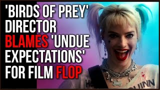 The Director Of 'Birds Of Prey' Has A New Theory For Why It FLOPPED, Were Expectations Too High??