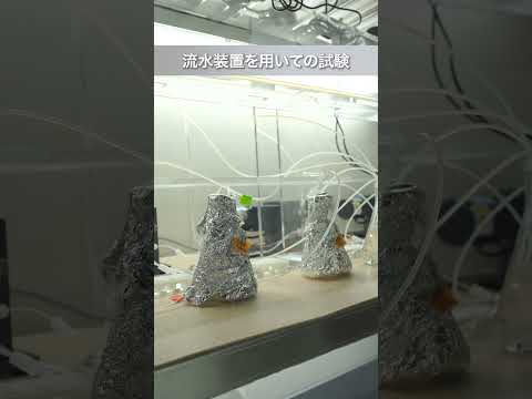 2025年START！生命環境学部のぞき見👀✨ホルブルックの地下にある秘密!?の水槽室！👩‍🔬