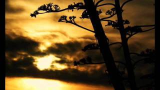 Darkest Dreaming - David Sylvian