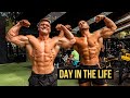 HUGE Back Day With Mike Thurston | Marbella Vlog