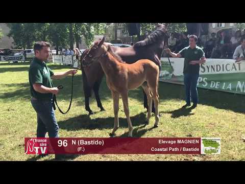 Sprinter Sacré Show 2018 : Lot 96 - N (Bastide)