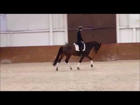 Don Index Londonderry