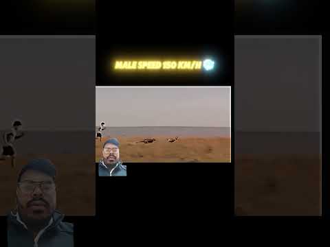 Cheetah Vs gazals.. #cheetah #gazelle #marvel #memes #animals #anime #animeedit #onepunchman #funny