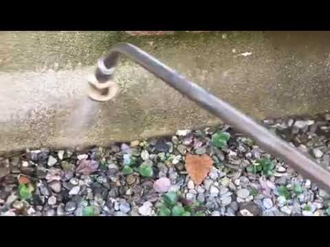 Exterminators in Neptune, NJ