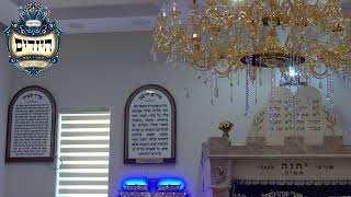 בית הכנסת יזדים • יום ראשון ה' אדר תשפ'ו (בית הכנסת מוסאיוף) - התמונה מוצגת ישירות מתוך אתר האינטרנט יוטיוב. זכויות היוצרים בתמונה שייכות ליוצרה. קישור קרדיט למקור התוכן נמצא בתוך דף הסרטון