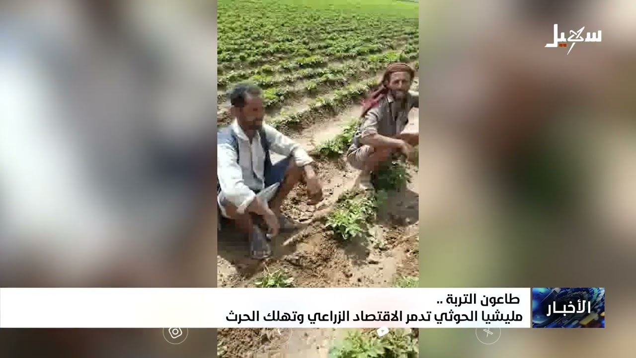 طاعون التربة .. مليشيا إيران الحوثية تدمر الاقتصاد الزراعي وتهلك الحرث