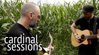 Fink - Pilgrim - CARDINAL SESSIONS (Haldern Pop Special)