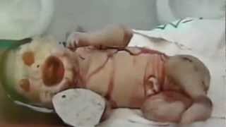 Mohamed Merah, Tuerie Toulouse Massacre, Forsane Alizza, Uranium Appauvri & Crimes de Guerre OTAN