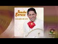 Pancho Barraza - Cuando Dos Almas (Official Visualizer)