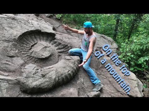 OMG, What the Heck did I Just Find? | World Record Largest Ammonite Fossil | Destination Adventure
