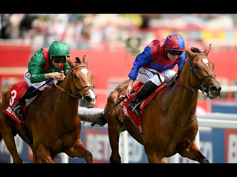 JAN BRUEGHEL Coronation Cup (G1) 2025