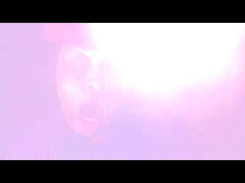 Video $Within