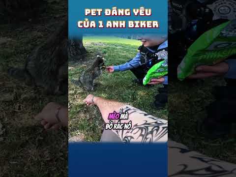 Pet đáng yêu của anh Biker🦝