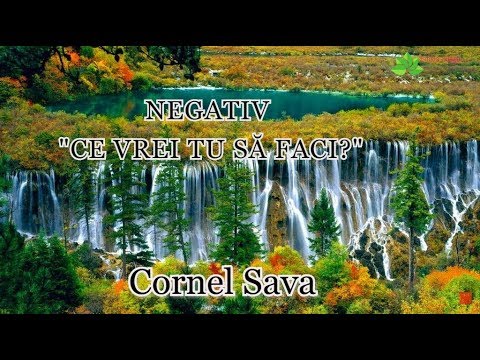 Negativ “Ce vrei tu sã faci?” - Cornel Sava