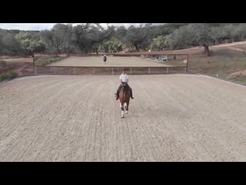 Reportagem João Torrão & Equador MVL