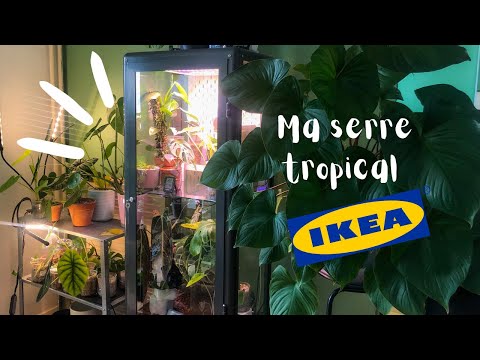 , title : 'DIY: Transformer une vitrine IKEA en Serre pour Plantes Tropical // Edition Fabrikor'