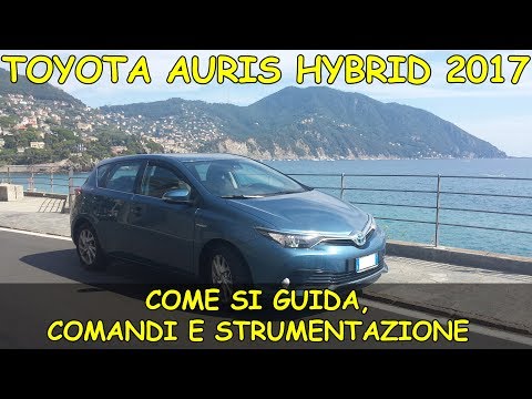 Ragazzo nudo ragazza cornea Toro Hammer molto vale il prezzo