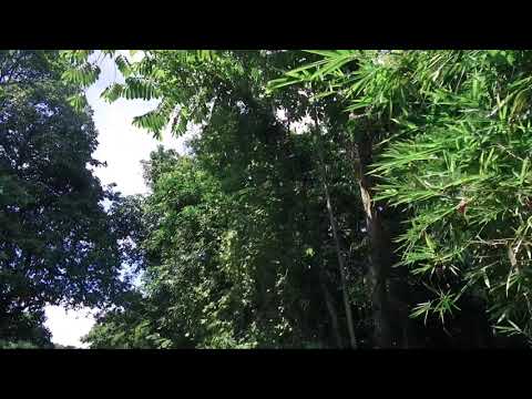 Ranny X berto ft daffi - Mooi MoFu Mamaa (Prod.by RJM).