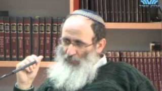 15431-4 אין מצב שהעגל נוצר דרך נס