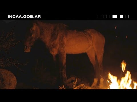 LA NOSTALGIA DEL CENTAURO de NICOLÁS TORCHISNKY