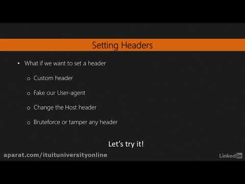 Python Request Library Head And Headers