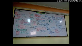 8) Dr.Wael Salah (Treatment Trachoma Phlyctencular Conj. Spring catarh)