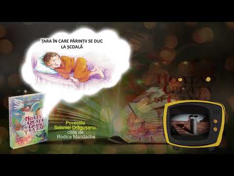 Țara în care părinții se duc la școală - de Sidonia Dragusanu - poveste audio
