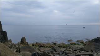 Exploring the Mouse Hole of Mousehole, Cornwall
