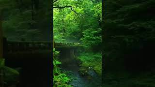 Download lagu kaisi Teri khudgarzi||kabira||ye jawani hai deewani mp3