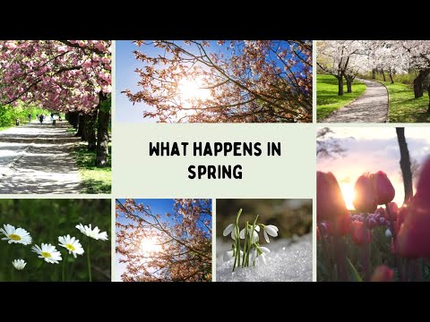 What Happens in Spring - ESL Video with Comprehension Task