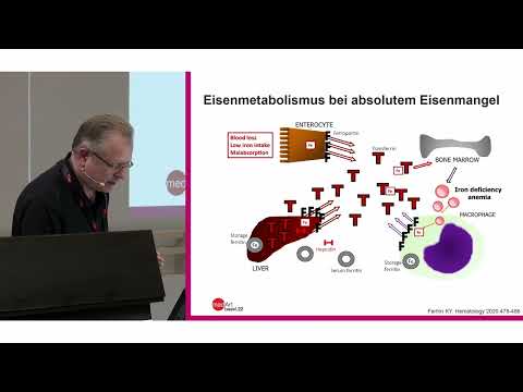medArt2022 Donnerstag 05 Anämie - J Halter