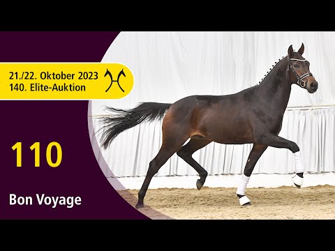 140th Elite-Auction - Oct. 21/22 - No. 110 Bon Voyage by Bon Courage - Fürstenball
