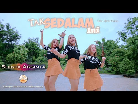 Dj Tak Sedalam Ini - Shinta Arsinta (Official Music Video)