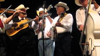 The Darkest Hour Is Just Before Dawn  - Blue Cypress