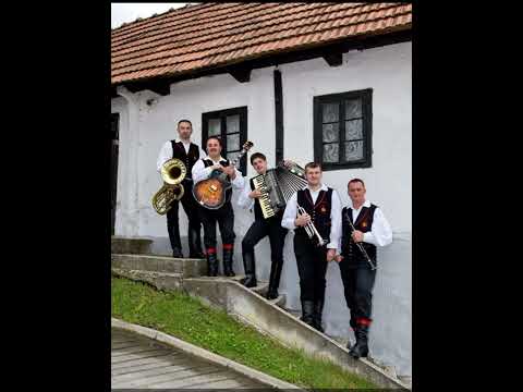 Sinovi Zagorja-Pušlec ljubičica