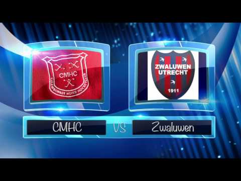 Culemborg - Zwaluwen (goals)