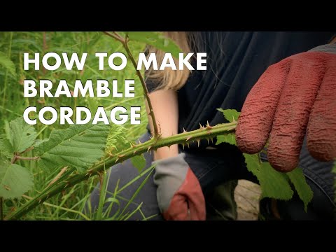 How to Make Bramble Cordage