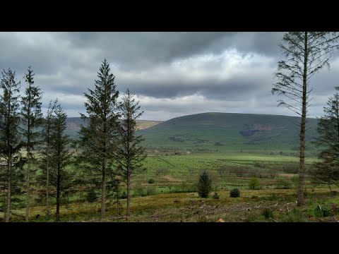 Vlog 96 (21/04/2024)