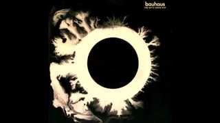 Bauhaus - All we ever wanted was everything (vinyl rip)