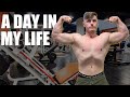 PHOTOSHOOTS, FOOD AND TRAINING - My Life!
