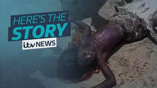 The mermaid sighting video that's dividing opinion on TikTok | ITV News
