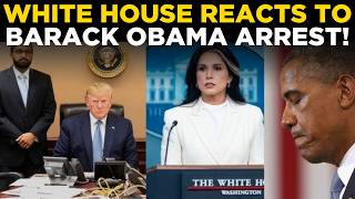 Download lagu US News LIVE: Barack Obama Arrest Sparks Firestorm, White House Reacts, Donald Trump Responds mp3