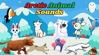 Arctic Animal Sounds Song | Fun Animal Sounds for Kids | Learn with Music gameplay video by mgorham, 2:01 duration